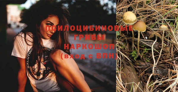шишки Балабаново