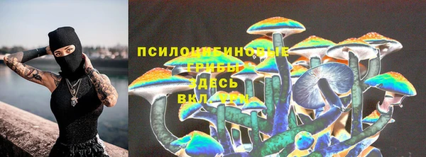 шишки Балабаново