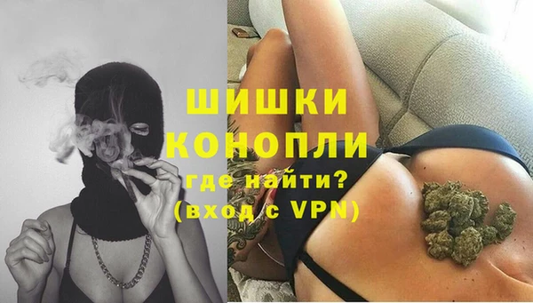 шишки Балабаново