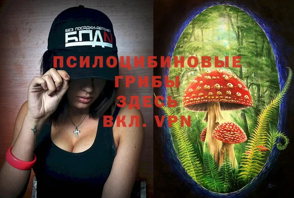 шишки Балабаново