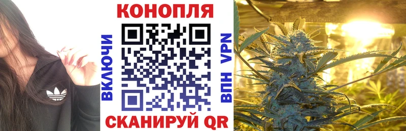 Бошки Шишки Amnesia  omg tor  Назарово 